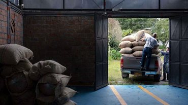 Bodega con bultos de café y al fondo un señor cargando una camioneta con estos bultos. - Más allá del carbón y petróleo: exportaciones no mineras crecen a doble dígito, entre enero y agosto, llegando a 21,3 %