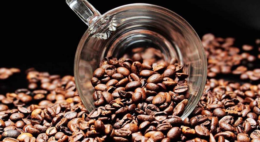 Pocillo transparente volteado, de frente, y lleno de semillas de café, también alrededor.