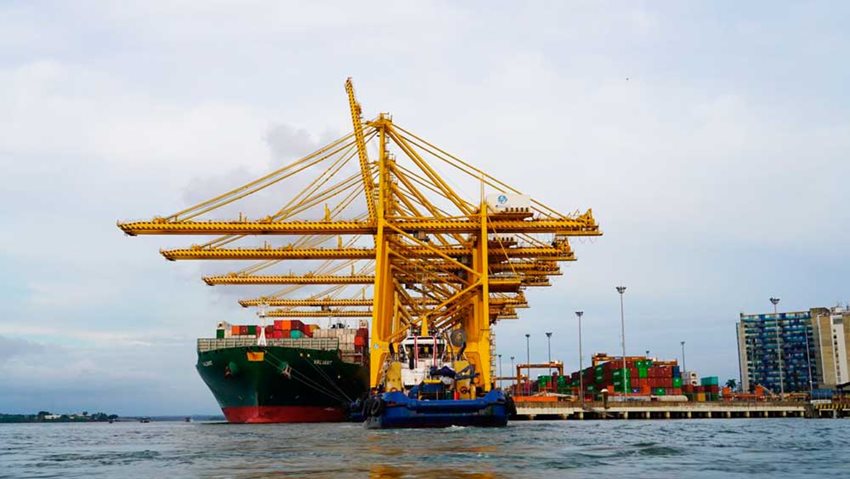 El 65% de las exportaciones colombianas estuvo representado en productos agrícolas y agroindustriales.