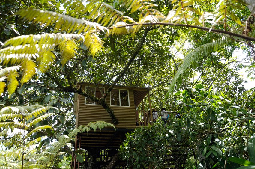 Estos galardones tienen como fin exaltar las experiencias exitosas y mejores prácticas del turismo receptivo.