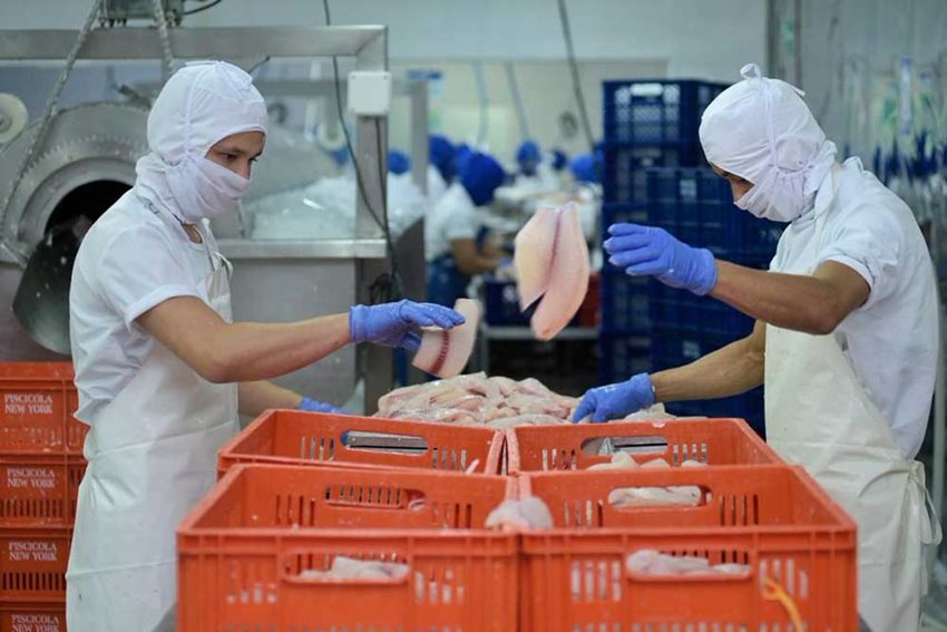 El principal departamento exportador de tilapia es Huila.