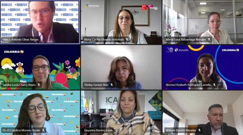 Reunión virtual de las personas que participan en la Segunda Mesa Nacional de Internacionalización.