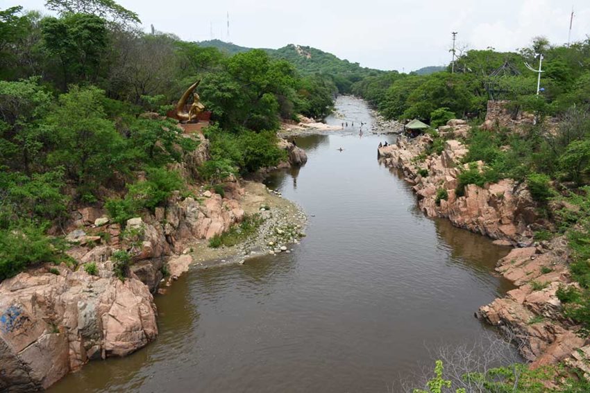 Estos documentos servirán a empresarios de la industria para adquirir conocimientos y perfeccionar prácticas.