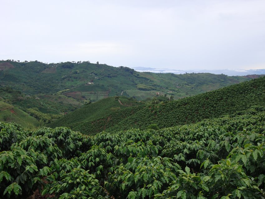 El premio ‘Colombia Riqueza Natural’ recibirá propuestas de cualquier sector de la economía, de todo el país.