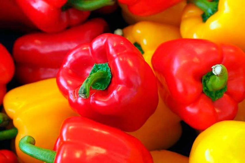 Este anuncio se da luego de la publicación de la Notificación Propuesta por Colombia para pimentones en 2019.