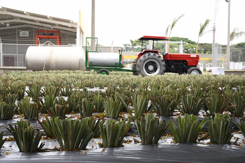 Colombia Productiva abrió convocatoria a través de la cual se optimizarán desafíos logísticos de 40 unidades.