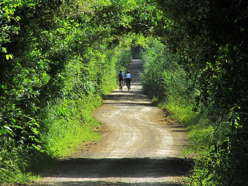 La inscripción al RNT tiene una vigencia anual y debe hacerse dentro de los tres primeros meses de cada año.