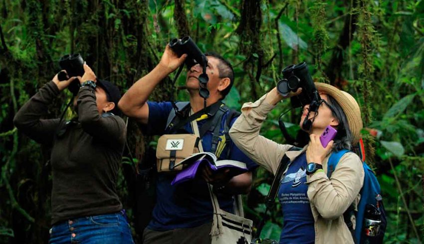 Dos mujeres y un hombre observando pájaros en el cielo, por medio de binoculares y en medio de la selva.