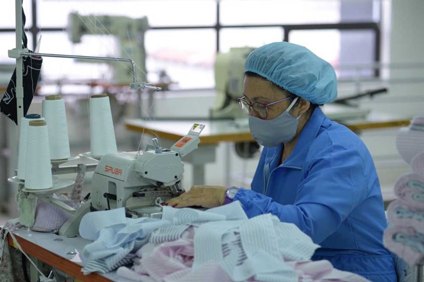 Las empresas beneficiarias fueron en su mayoría pequeñas. También se atendieron empresas medianas y grandes.