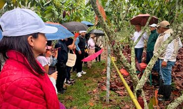 Personas escuchando explicación en el campo. - Colombia fortalece su posicionamiento internacional en sostenibilidad con café y cacao libres de deforestación