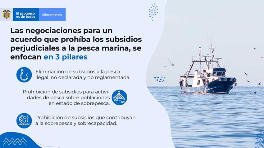 En reunión de la OMC, ministra Lombana urge terminar acuerdo que prohíba subsidios a la pesca ilegal.